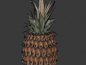 realistic pineapple 3D Model