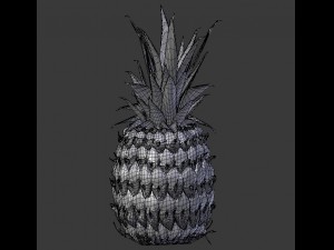 realistic pineapple 3D Model