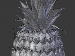 realistic pineapple 3D Model