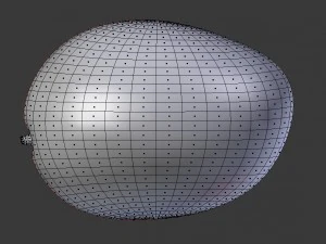 mango realistico Modello 3D