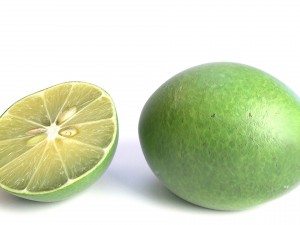 realistic lime 3D Model
