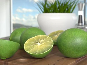 lim&atilde;o realista Modelo 3D