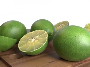 lim&atilde;o realista Modelo 3D