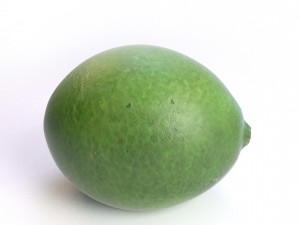 realistic lime 3D Model