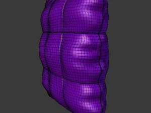 pillow 5 3D Model