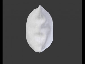 piped pillow 3D 모델