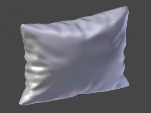 voyage cushion - chickens solid pillow Modello 3D