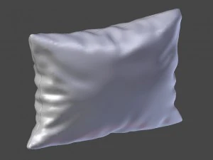 voyage cushion - chickens solid pillow 3D Model