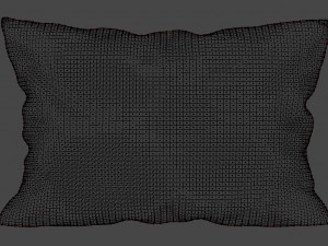 voyage cushion - chickens solid pillow Modello 3D