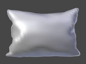 voyage cushion - morning chorus piped pillow 3D Model