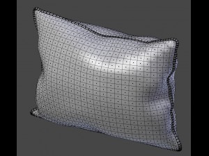 voyage cushion - morning chorus piped pillow 3D Модель