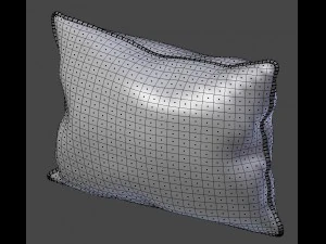 voyage cushion - morning chorus piped pillow 3D Model