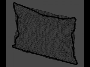 voyage cushion - morning chorus piped pillow 3D Model