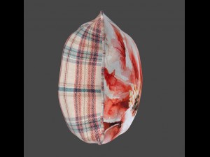 voyage cushion - peony red piped pillow Modello 3D