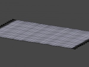 rug with fringe 3D-Modell
