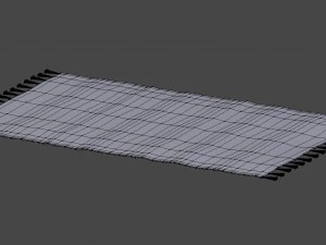 rug with fringe 3D Model