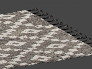 rug with fringe 3D-Modell