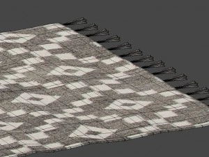 rug with fringe 3D Model