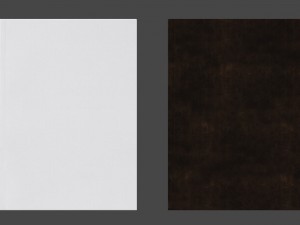 white and brown leaflet -low poly 3D-Modell