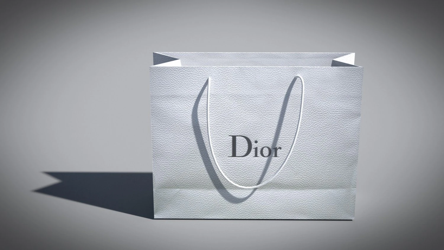 designer shopping bag - dior 3D Model .c4d .max .obj .3ds .fbx .stl .blend