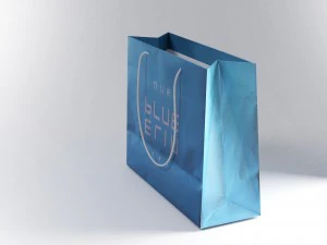 shopping bag 3D Model