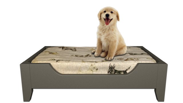 dog bed Model 3D .c4d .max .obj .3ds .fbx .stl .blend 