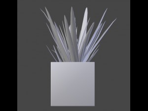 aloe vera - potted plant Modelo 3D