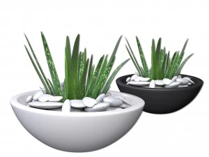 aloe vera - saksı bitkisi 2 3D Model