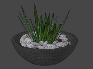 aloe vera - potted plant 2 3D Model