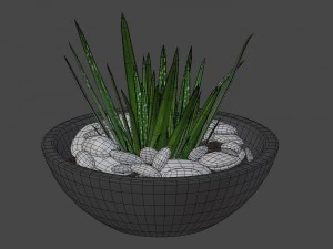 aloe vera - potted plant 2 3D Model