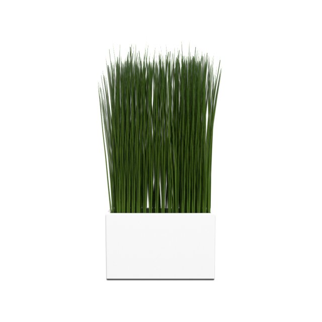 grass in a vase 3D मॉडल .c4d .max .obj .3ds .fbx .stl .blend 