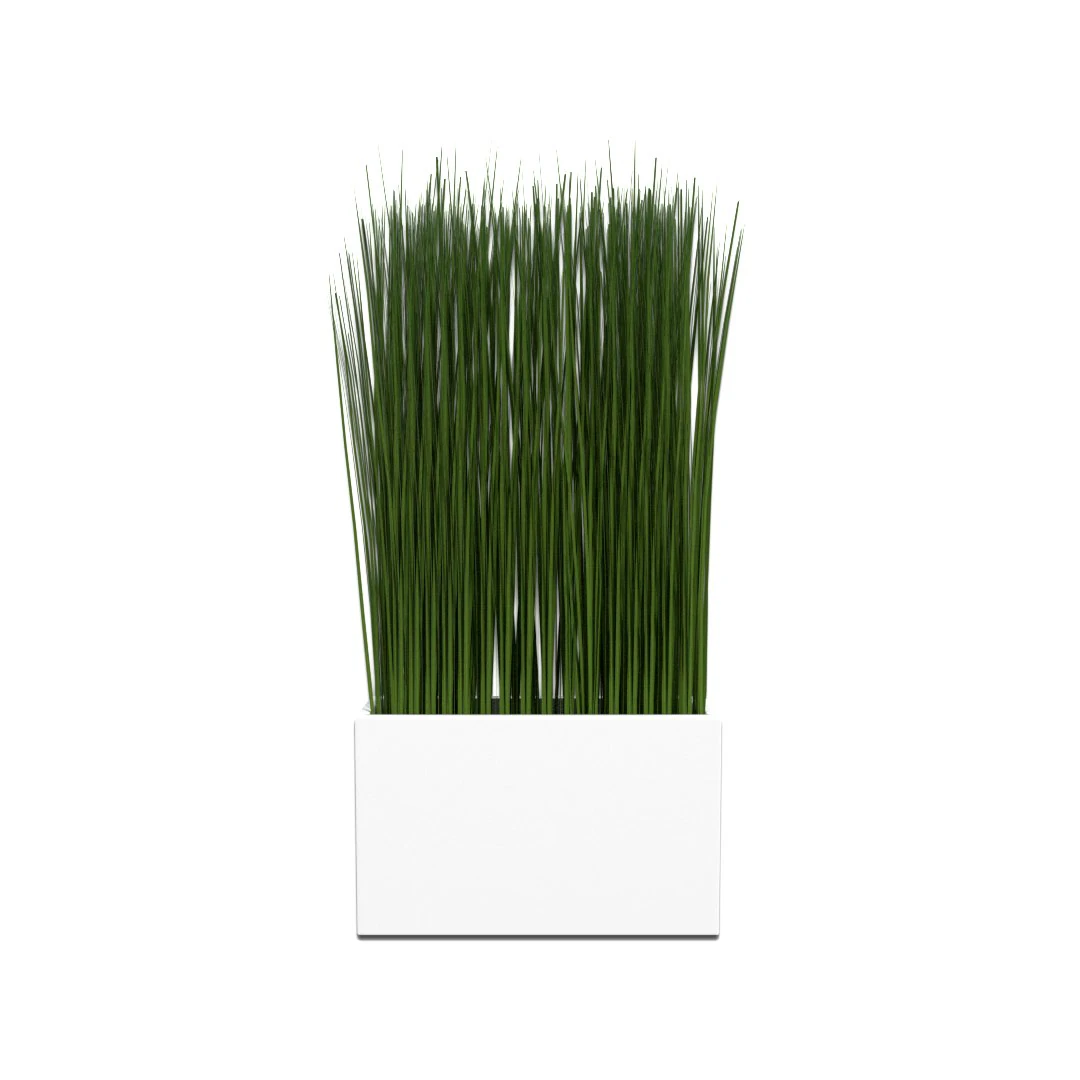 grass in a vase 3D Model .c4d .max .obj .3ds .fbx .stl .blend 