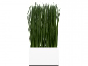 grass in a vase 3D Model