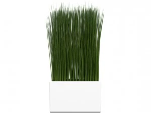 grama em um vaso Modelo 3D
