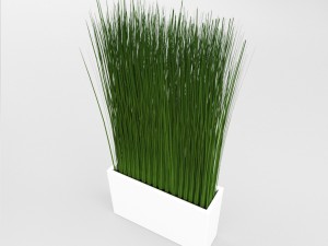 grass in a vase 3D मॉडल