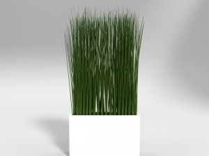grass in a vase 3D मॉडल