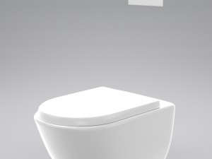 wall hung toilet 3Dモデル