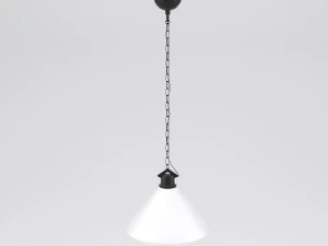 ceiling pendant lamp 3D Model