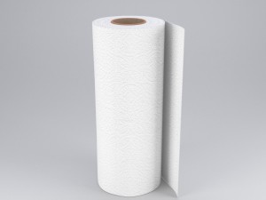 paper towel Modelo 3D