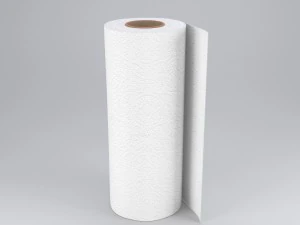 paper towel 3D Model
