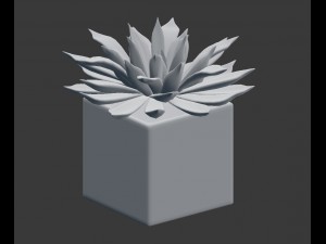 potted plant - succulents Model 3D