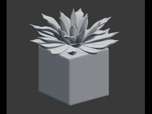 potted plant - succulents 3D Model