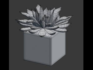 potted plant - succulents Model 3D