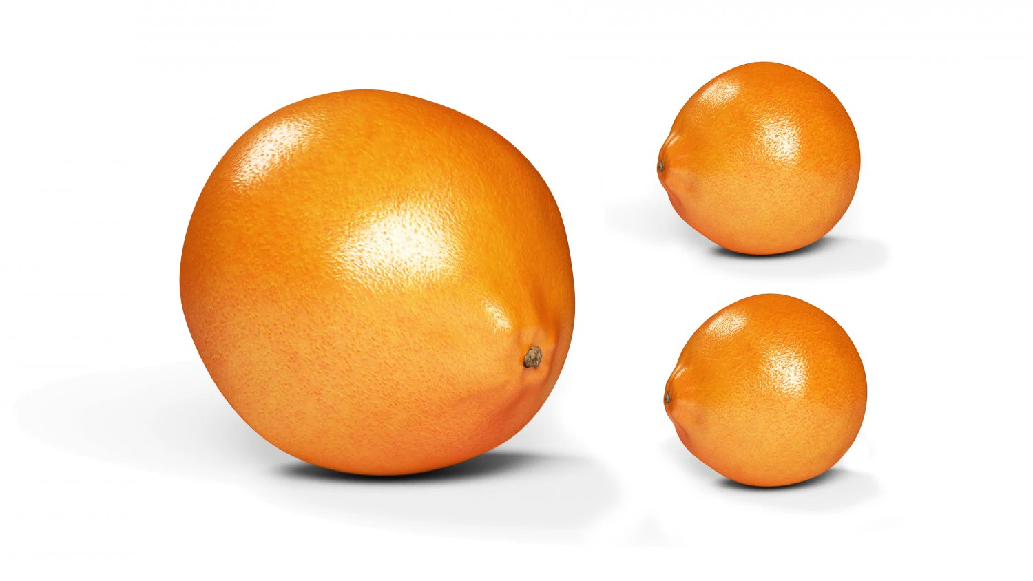 realistic orange 3D Model .c4d .max .obj .3ds .fbx .stl .blend