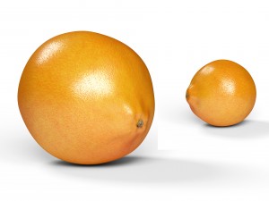 realistic orange 3D Model