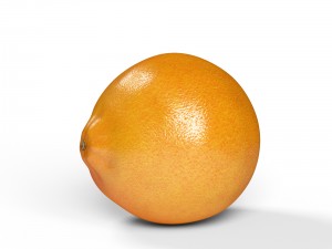 realistic orange 3D Model