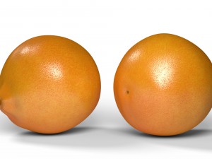 realistic orange 3D Model