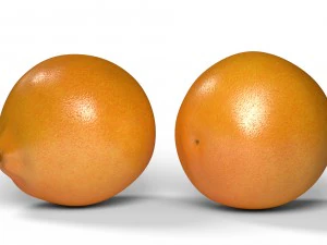 realistic orange 3D Model