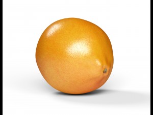 realistic orange 3D Model