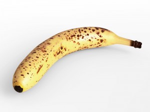 3d realistic old banana model 3D Model